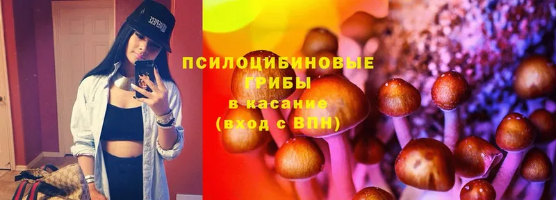 Галлюциногенные грибы MAGIC MUSHROOMS  сколько стоит  Арск 